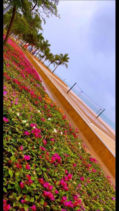 أستديو توليب مارينا الفندقي King Abdullah Economic City Bagian luar foto